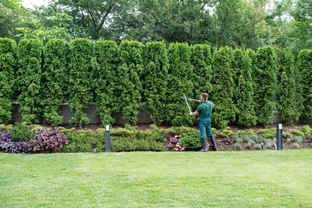 Best Organic Lawn Care Solutions  in Eatontown, NJ