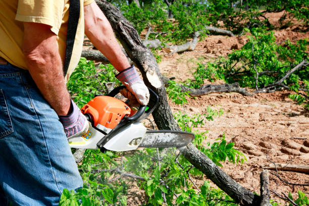 Best Arborist Consultation Services  in Eatontown, NJ